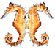 seahorse